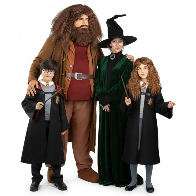 Grupo de Hogwarts de Harry Potter