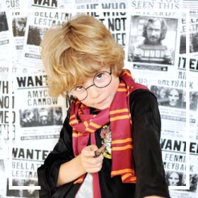 Fatos de Harry Potter