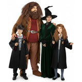 Grupo de Hogwarts de Harry Potter