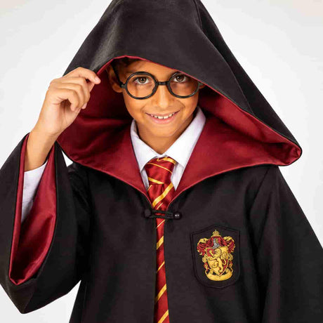 Fatos de Harry Potter