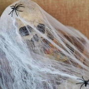 Telarañas e insectos para la decoración de Halloween