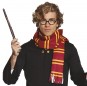 Kit de Acessórios Harry Potter Wizard para completar o seu disfarce