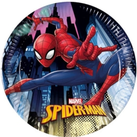 Fornecimentos para Festas de Aniversário Spiderman