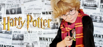 Embarque numa aventura mágica com os nossos autênticos fatos de Harry Potter. Descubra uma seleção única de fatos inspirados na magia que o transportarão para Hogwarts e mais além.